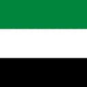 United Arab Emirates flag