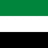 United Arab Emirates flag