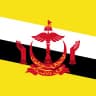 Brunei flag