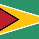 Guyana flag