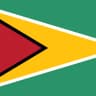 Guyana flag