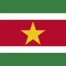 Suriname flag