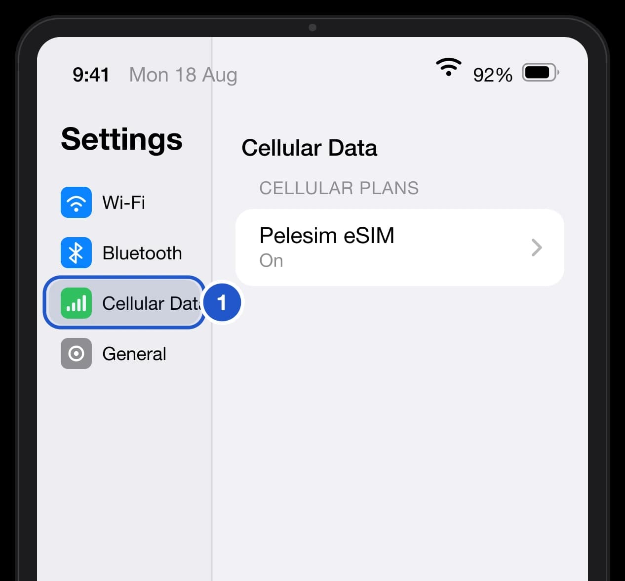 iPad Settings with Cellular Data highlighted in the sidebar.