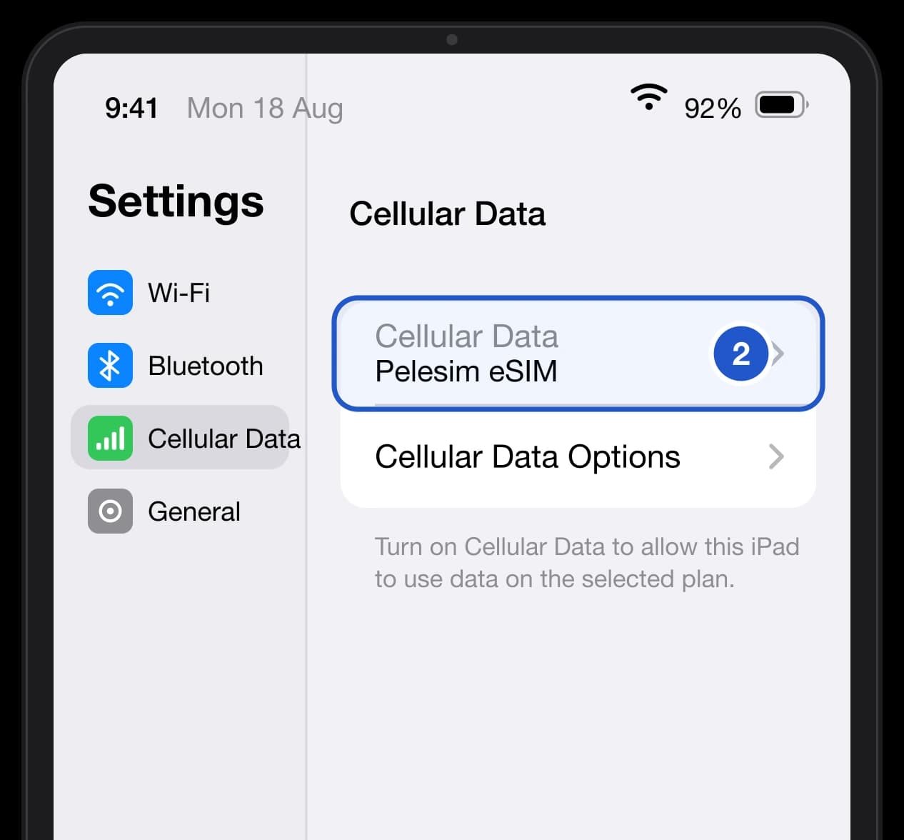 iPad Cellular Data screen with the data line set to Pelesim eSIM.