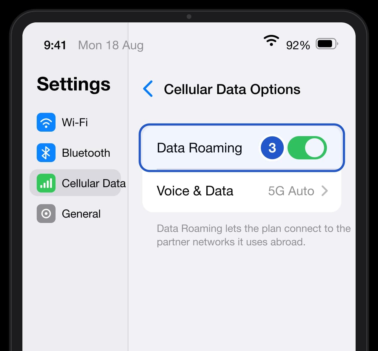 iPad Cellular Data Options screen with Data Roaming turned on.